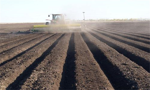 細致整地、起壟