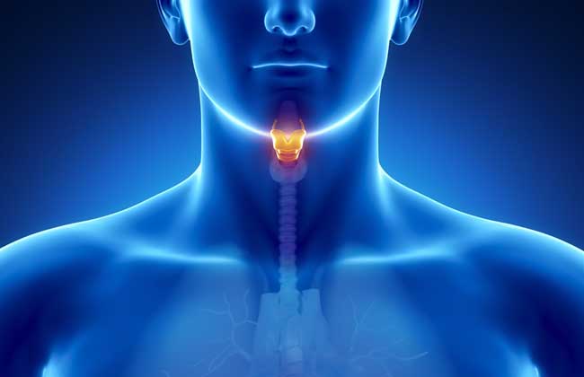 咽喉炎最佳治療方法 中藥材的知識(shí)