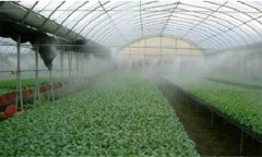 如何解決蔬菜大棚內(nèi)高濕、病蟲猖獗的難題