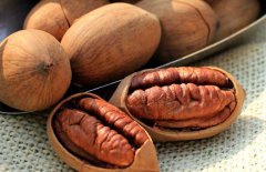 碧根果怎么挑選？碧根果的選購指南