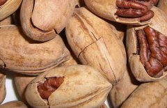 碧根果什么時候成熟，碧根果的產(chǎn)地在哪里？