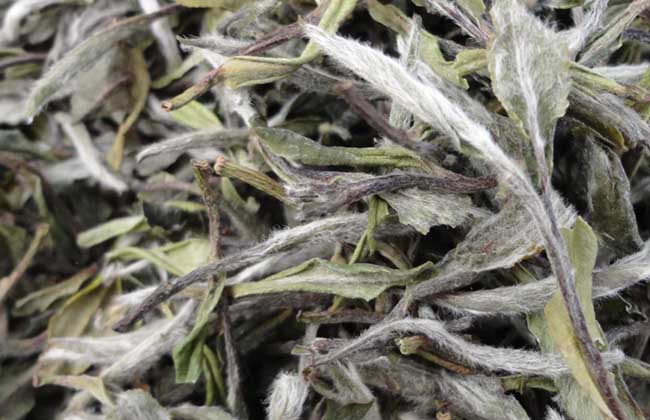 白茶的制作工序流程 生活常識