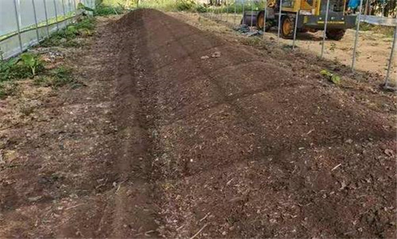 基、追肥分配比例要合理