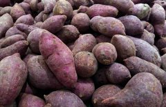糖尿病人能吃紅薯嗎？