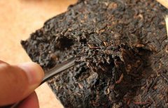 喝普洱茶能減肥嗎？