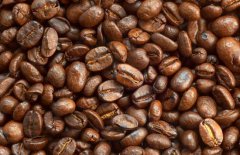 咖啡的故鄉(xiāng)是哪里？