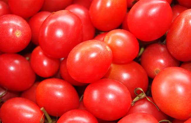 孕婦可以吃圣女果嗎? 生活常識