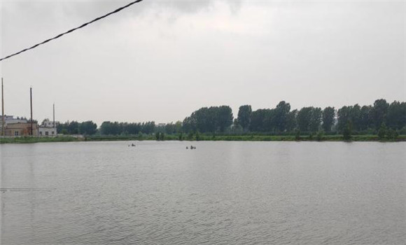 鰱鳙魚對水質要求高不高