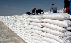 鉀肥有哪些種類？使用鉀肥的注意事項