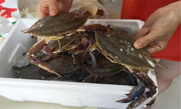 螃蟹屬于海鮮嗎？