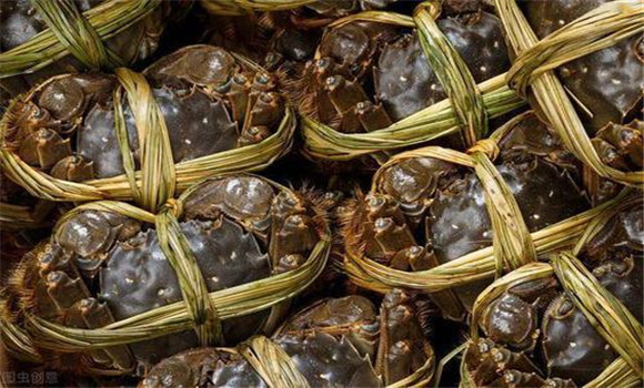 螃蟹買回來怎么保存？