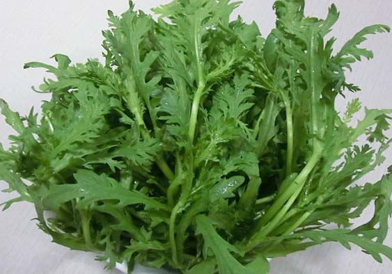 茼蒿的營(yíng)養(yǎng)價(jià)值