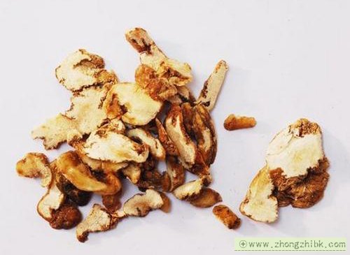 黃精的功效與作用 黃精