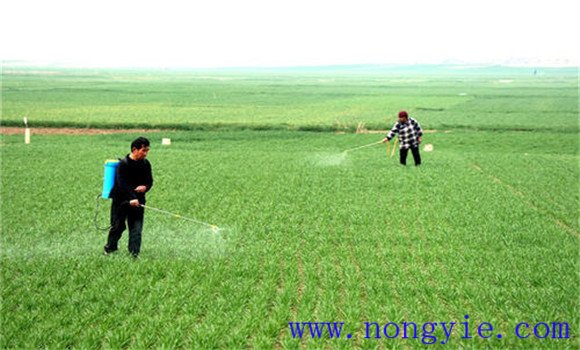 多措并舉，預(yù)防倒春寒