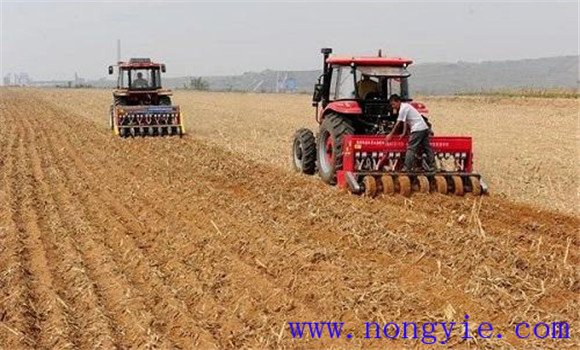 小麥種植技術(shù)與管理、施肥