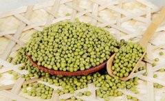 綠豆的功效是什么？綠豆的功效與作用