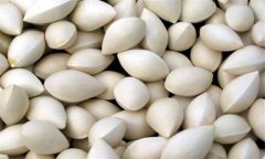 白果的功效與作用及食用方法、禁忌