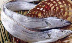 帶魚(yú)發(fā)黃能吃嗎？帶魚(yú)表面發(fā)黃的原因是什么
