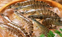 如何養(yǎng)殖沼蝦，沼蝦養(yǎng)殖技術(shù)須知