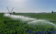 天津靜?？h冬小麥中期管理技術(shù)