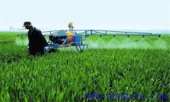 合理使用植物生長調節(jié)劑，防止小麥倒伏的方法