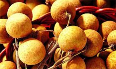 龍眼什么時候成熟？那些人群不能吃龍眼