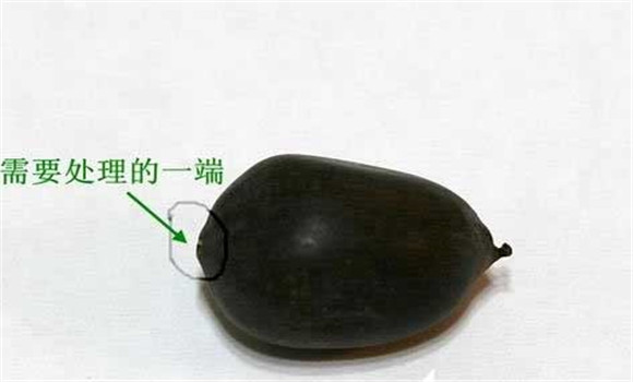 碗蓮的種植方法帶圖，碗蓮的種植方法與技術詳