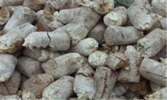 食用菌菌糠的營養(yǎng)成分、用途與再利用前景分析
