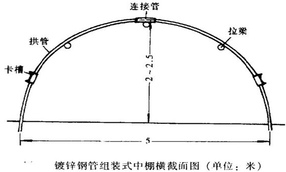 塑料中棚加外覆蓋能明顯使蔬菜早熟，效益高