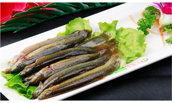 泥鰍的營養(yǎng)價(jià)值