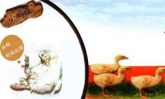 小鵝瘟癥狀有哪些，治療與防治措施簡介