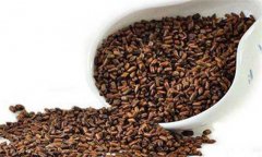 決明子的功效與作用，決明子的藥用功效有哪些