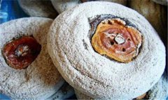 柿霜是什么？介紹柿霜的功效與作用及藥用價值