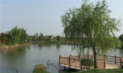 不同魚種塘的投飼、施肥方法是什么？