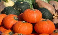 南瓜的種類有多少種、有什么特點(diǎn)