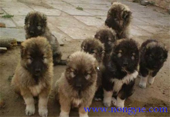 搞好衛(wèi)生，加強消毒