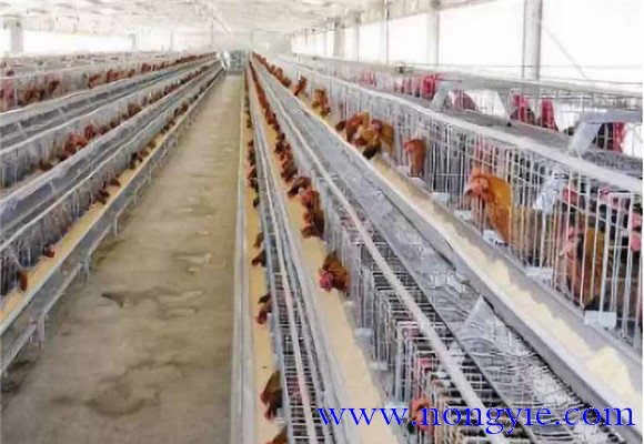 保溫、防暑和通風(fēng)性能好