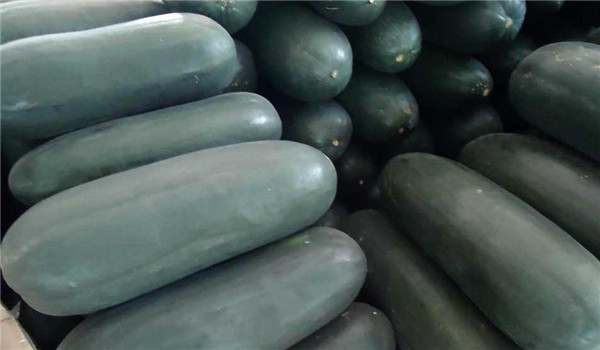 黑皮冬瓜畝產量