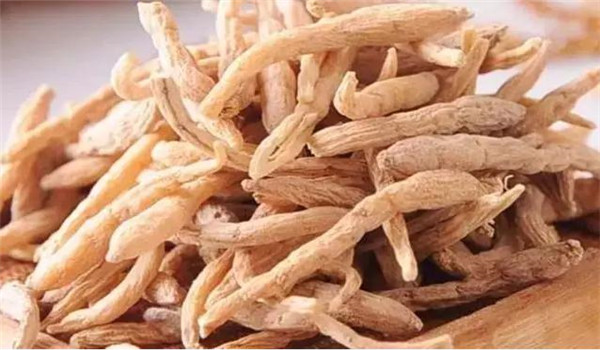 明黨參的經(jīng)濟作用