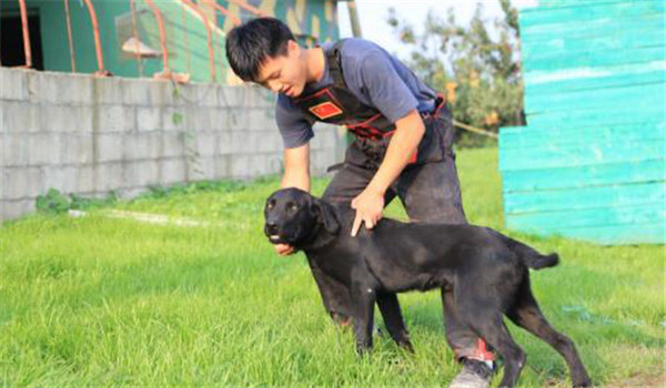 循序漸進，由易到難