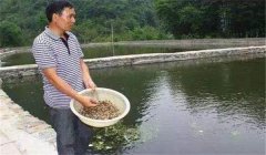 魚塘如何施肥？魚塘施肥技術(shù)的三個(gè)要點(diǎn)