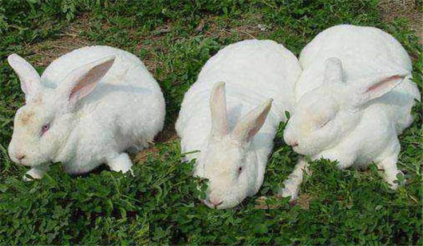 保證運動、多曬太陽