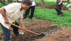 有機肥料的種類、特點與作用