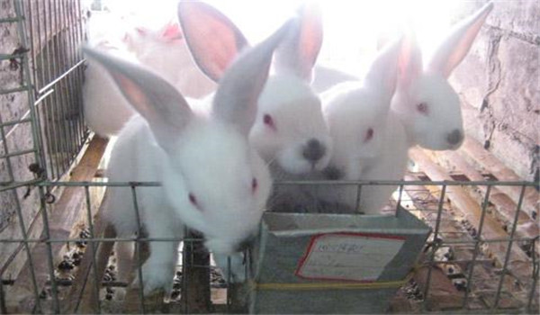 日根配合不合理、記錄不當(dāng)