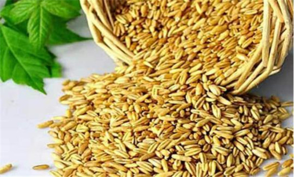 莜麥的種類(lèi)