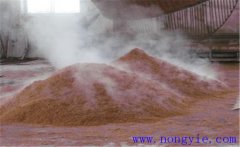 酒糟的營(yíng)養(yǎng)成分有哪些？酒糟飼養(yǎng)肉牛的方法