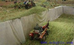 怎樣生產(chǎn)調制牛羊青貯飼料