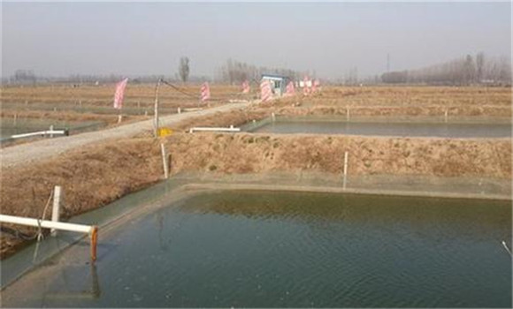 對泥鰍養(yǎng)殖池的要求