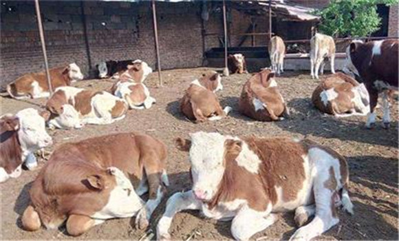 ?？袢〉牧餍刑攸c(diǎn)