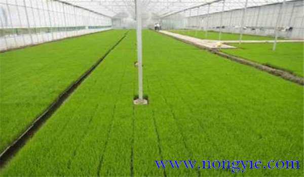 掌握好溫、濕度